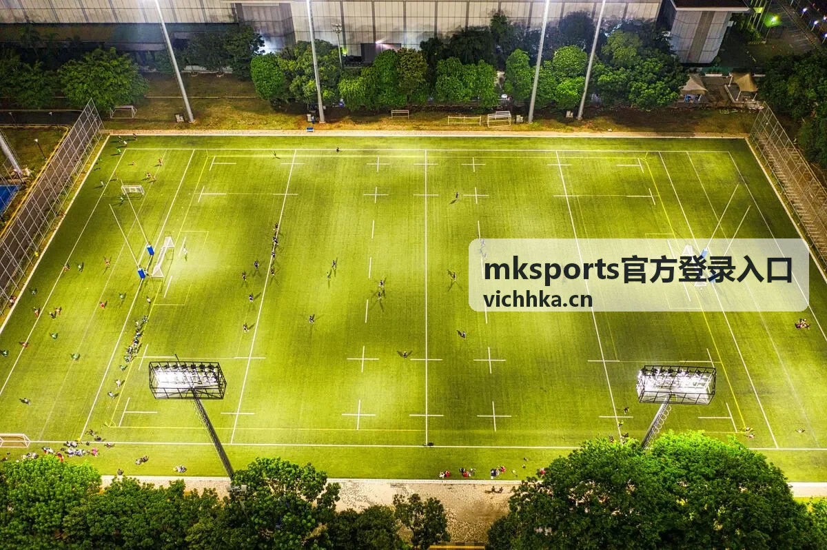 mksports官方登录入口账号填写界面示意