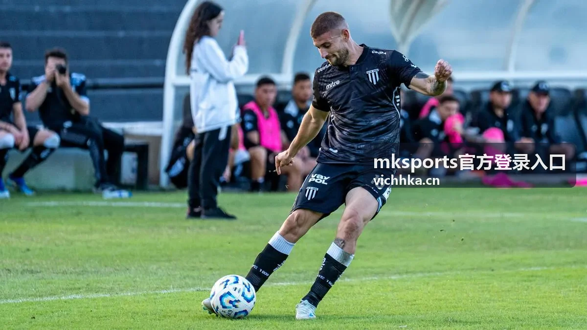 mksports官方登录入口填写账号信息